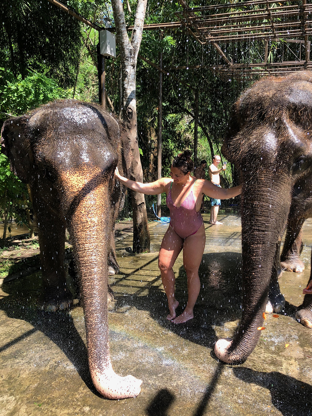 Kelly Washing Bali Elephants