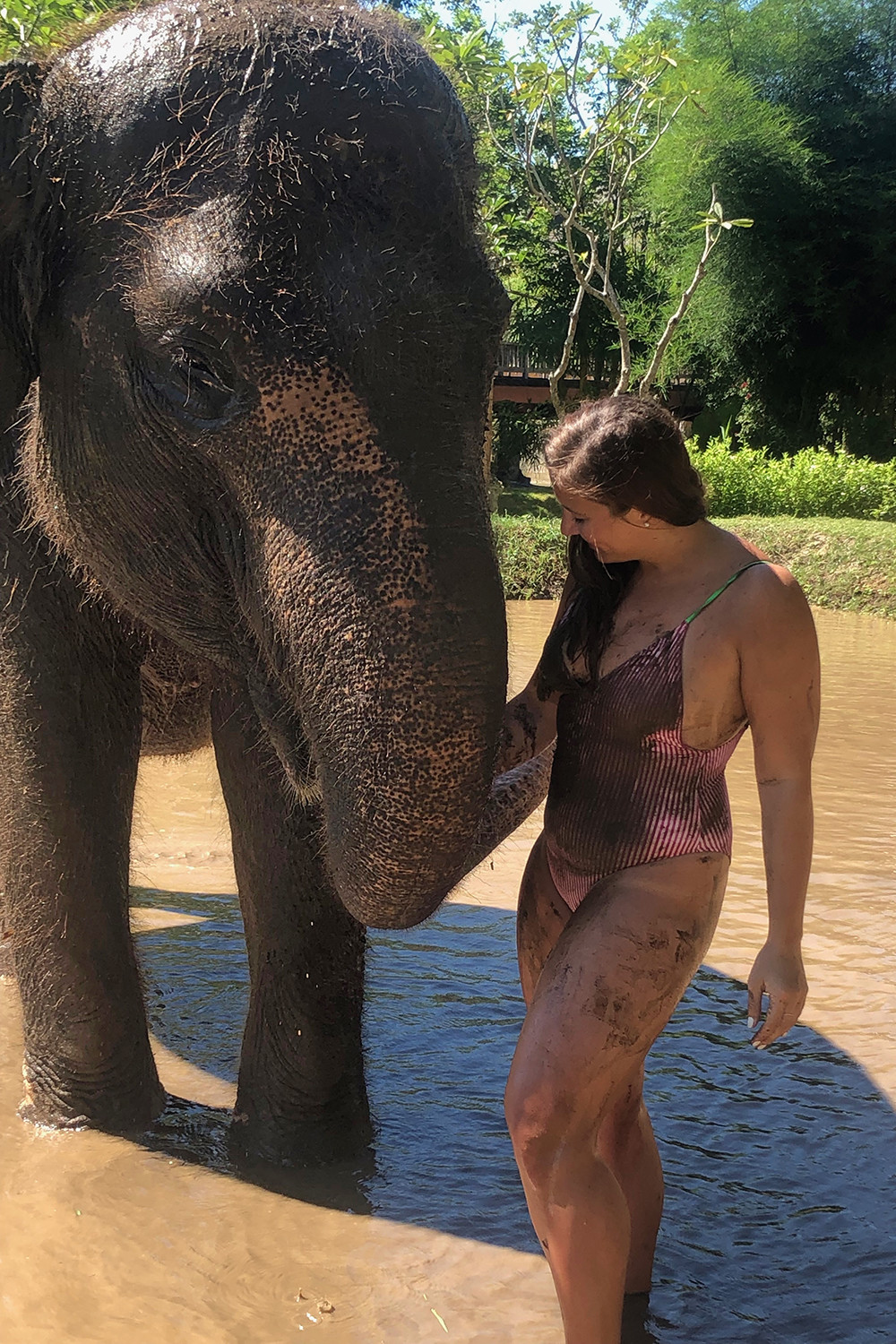 Kelly in the Mud with Bali Elephants