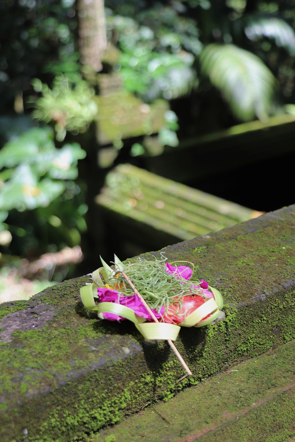 Offering at Goa Gajah Bali Elephant Temple