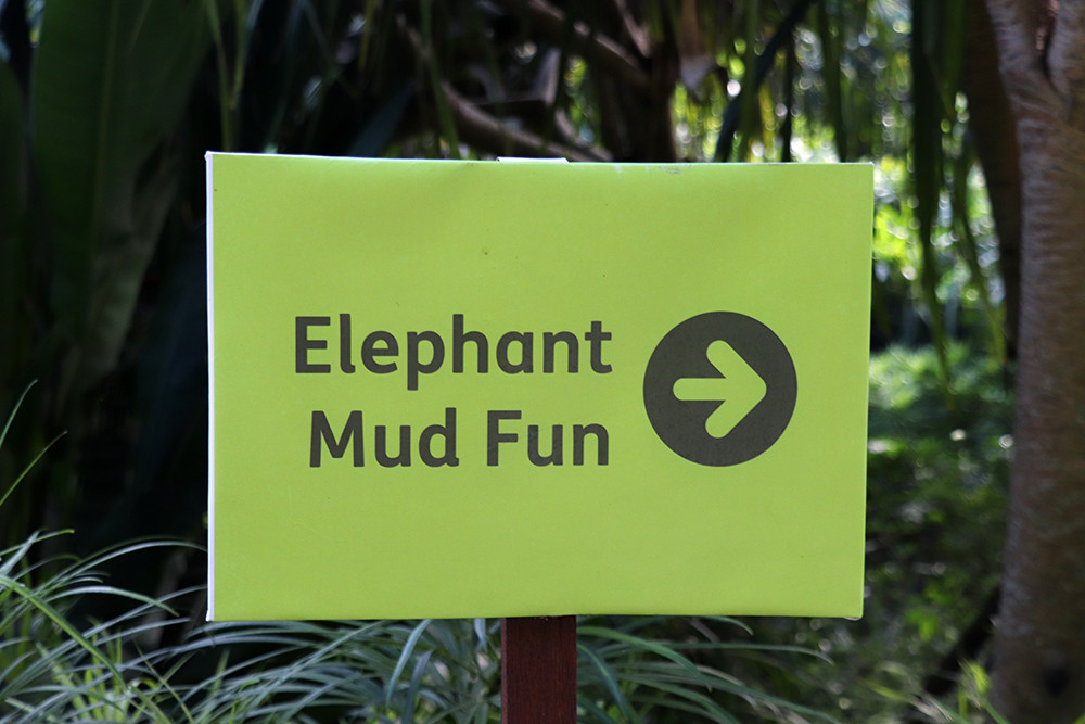 Sign for Elephant Mud Fun