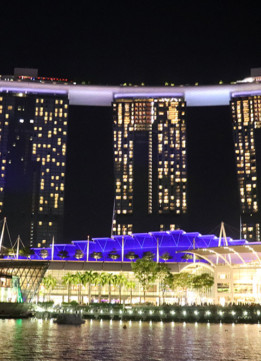The Marina Bay Sands at Night