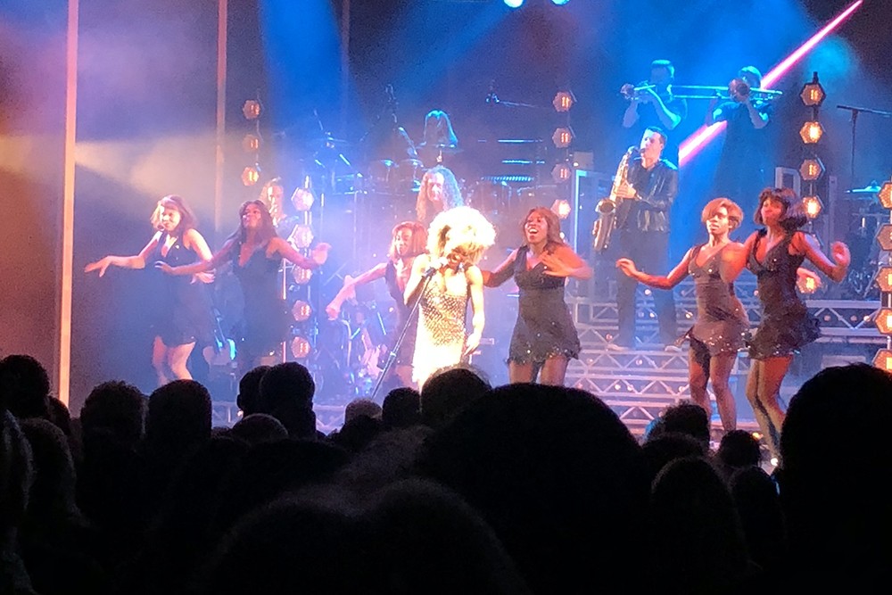 Tina the Musical