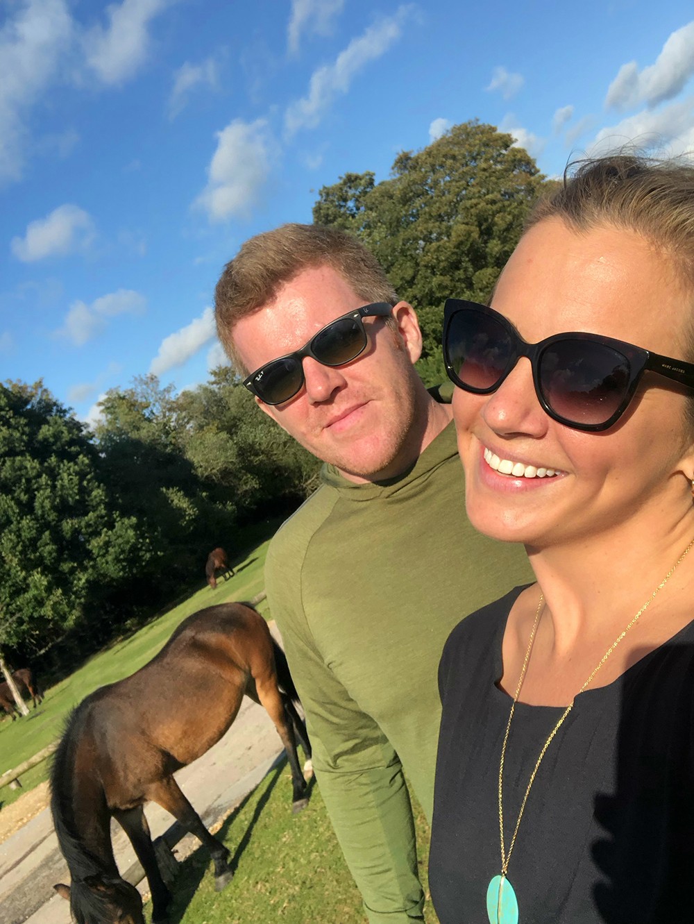 New Forest Horse Selfie