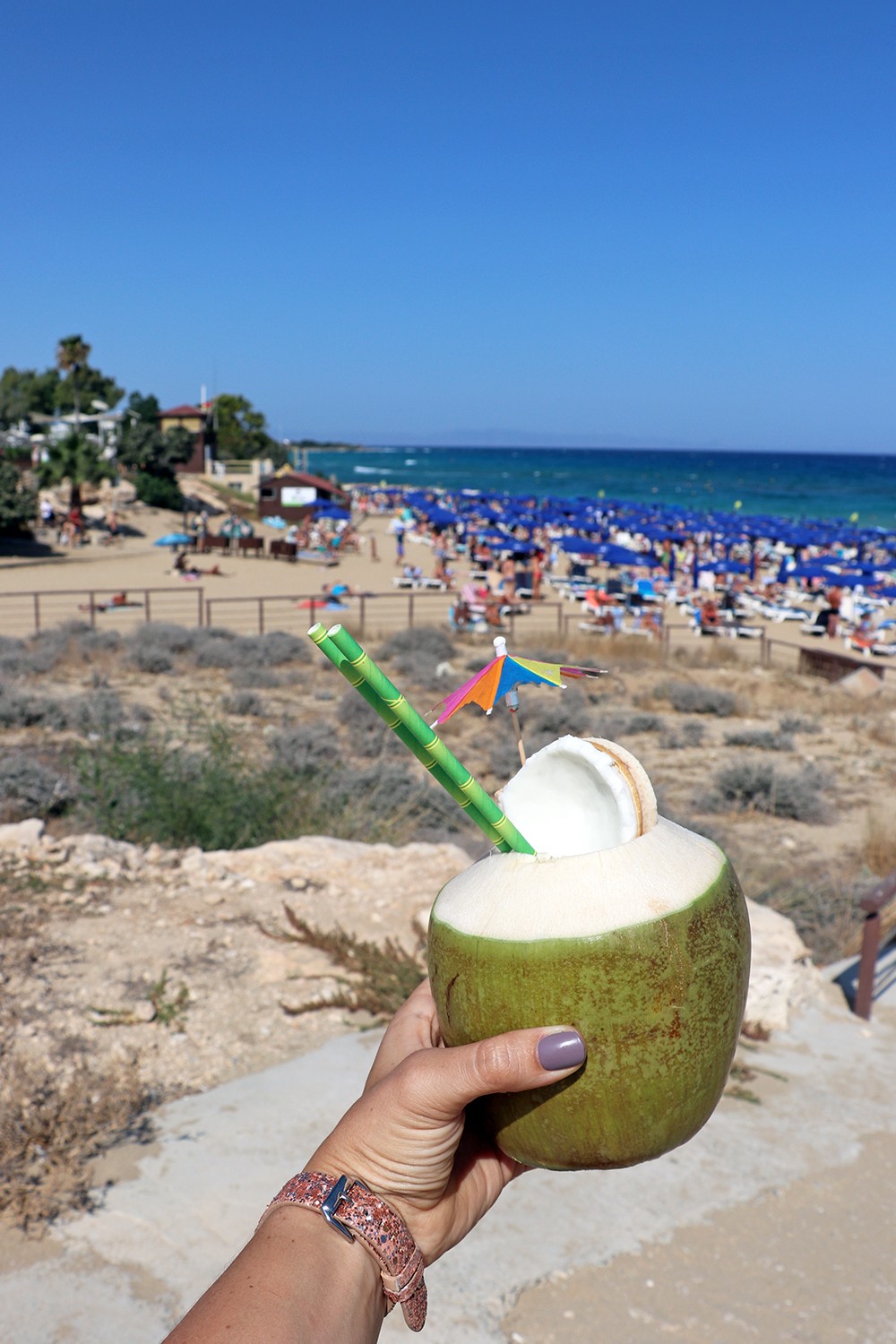 Cyprus Holiday Highlights - Fresh Coconut at Fig Tree Bay