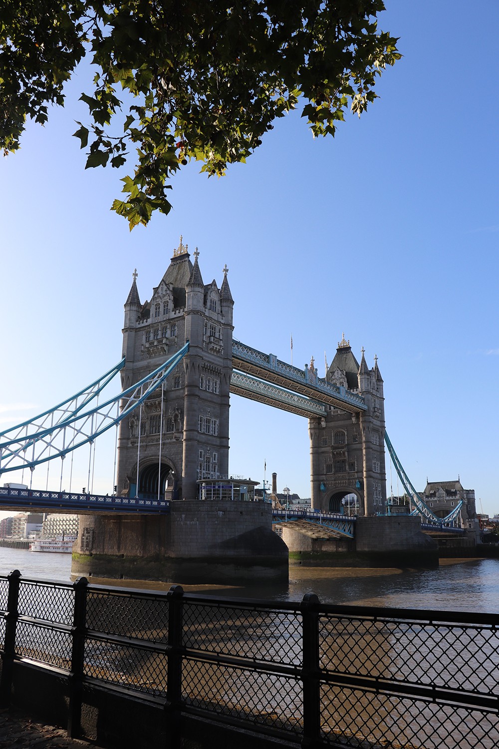 Tower Bridge from the North Bank