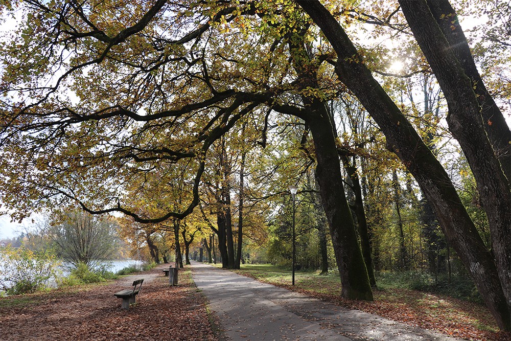 Bike Path by the Schloss Leopoldskron