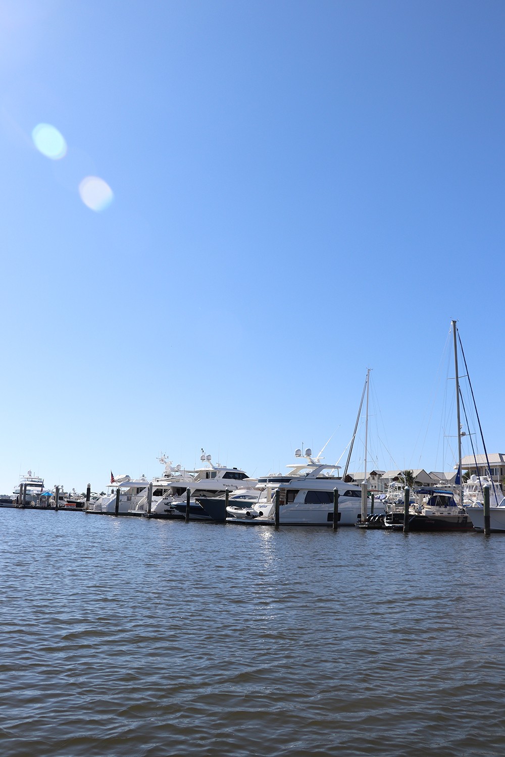 Naples Thanksgiving - Naples Harbor