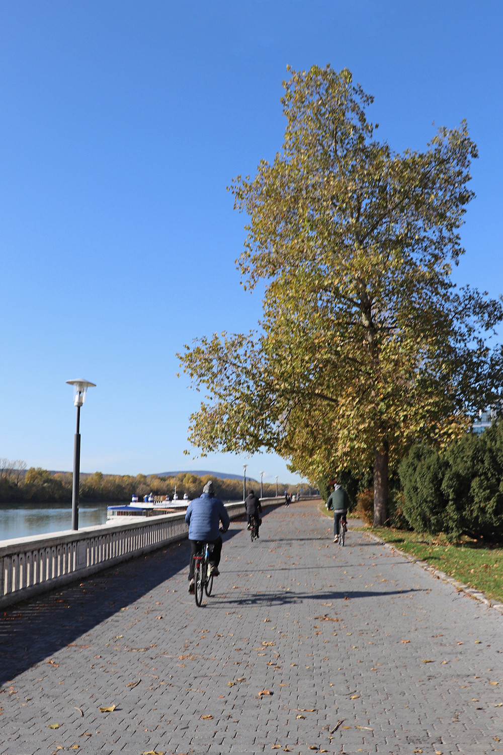 Bratislava Iron Curtain Bike Tour - Biking Along the Danube