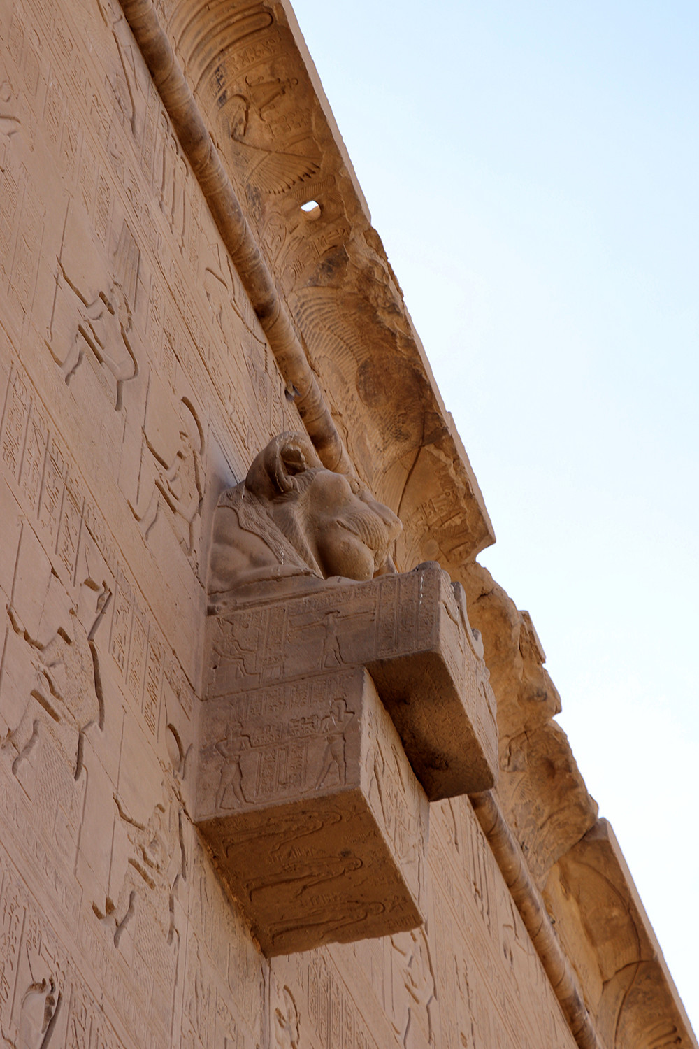 Lion Detail at Dendra