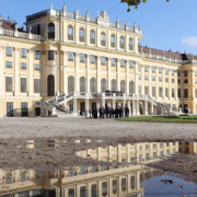 Schonbrunn Reflection