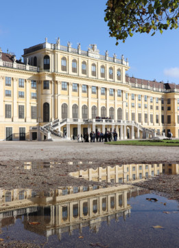 Schonbrunn Reflection