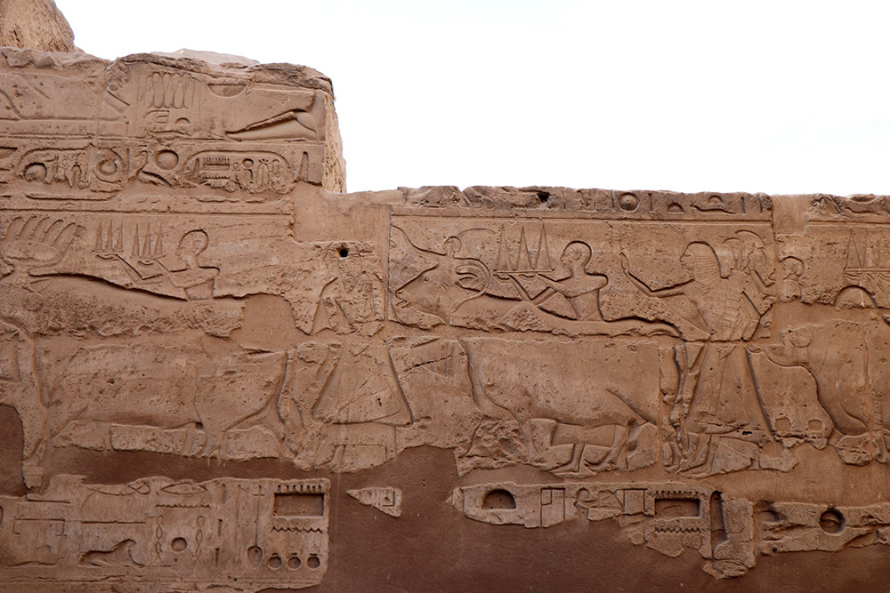 Hieroglyphics at Luxor Temple