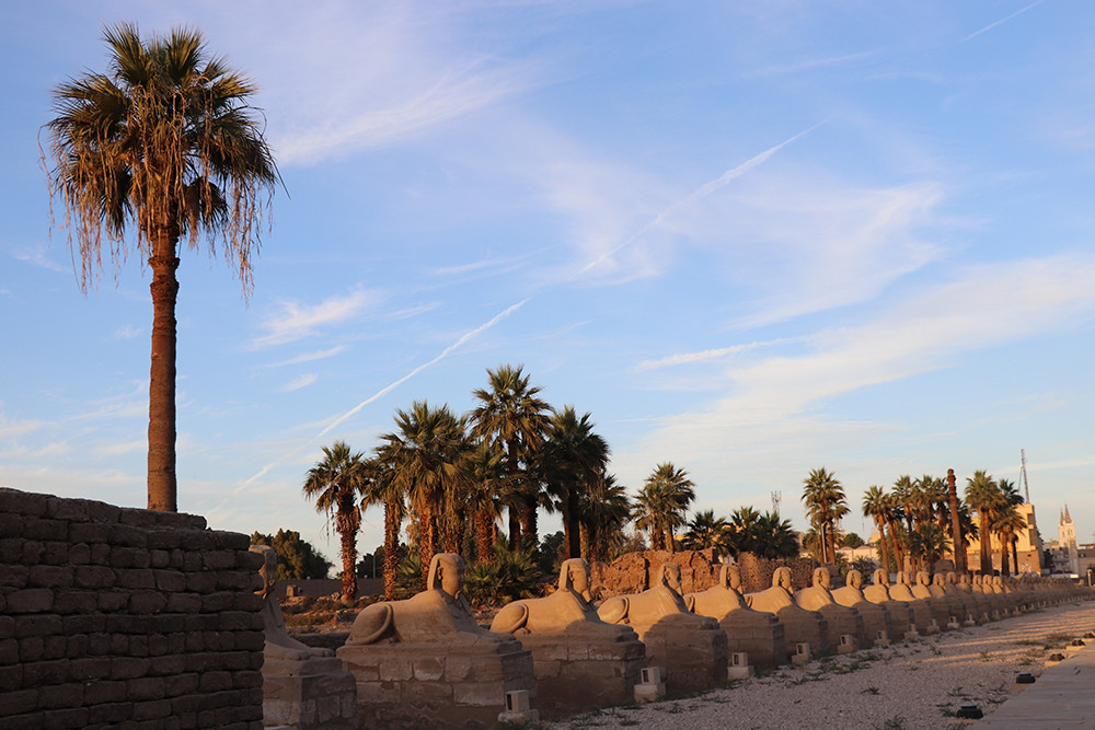 Luxor Temple Sphinxes