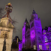 Night at Natural History Museum
