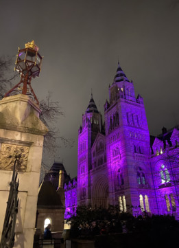 Night at Natural History Museum