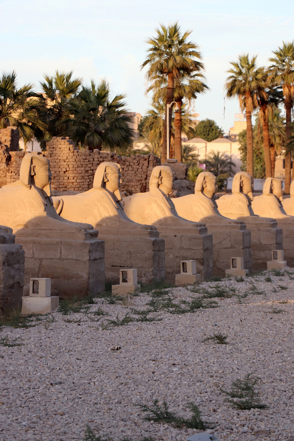 The Avenue of Sphinxes, Luxor