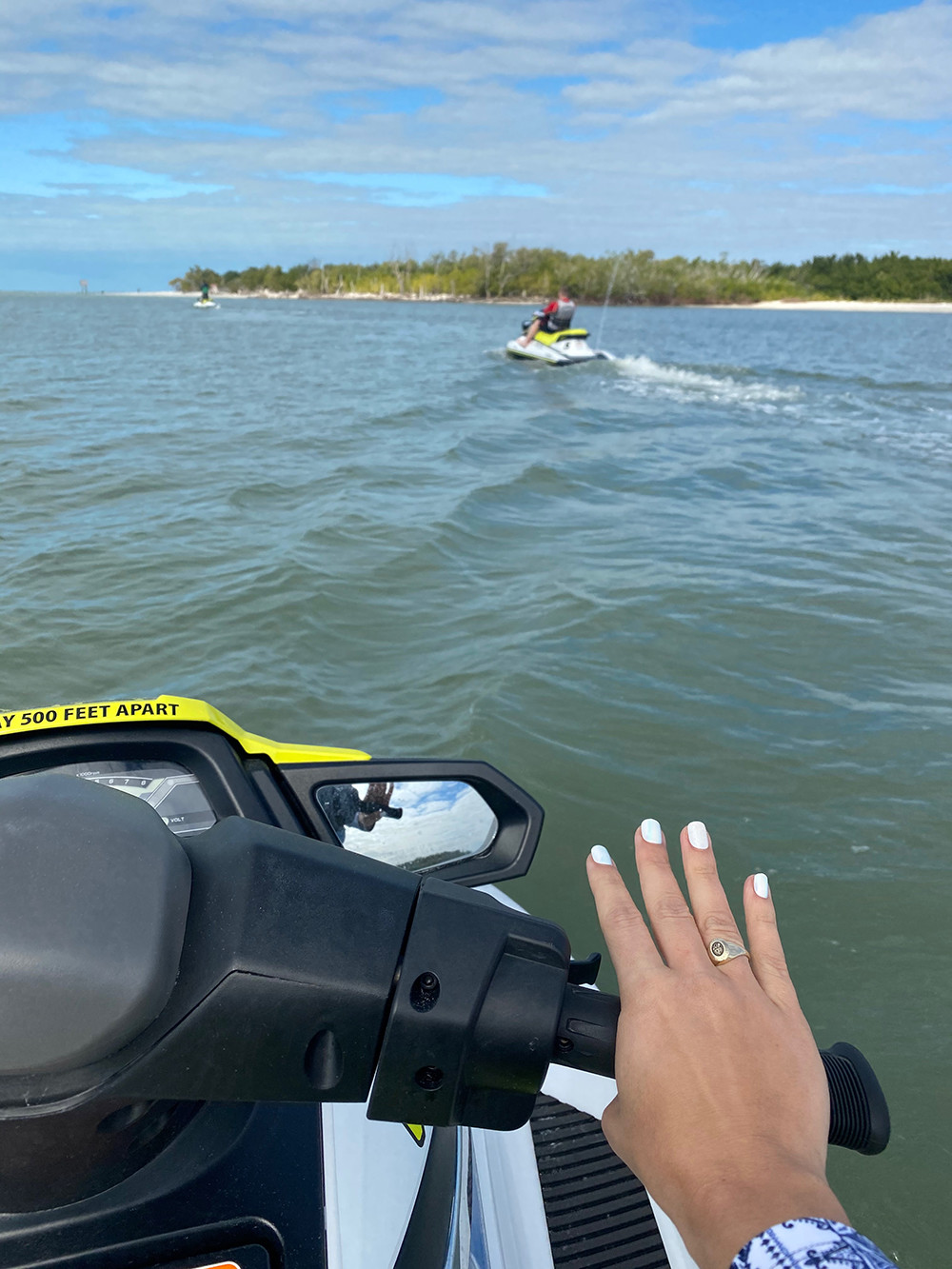 Ft Myers Jetskiing with Dolphins