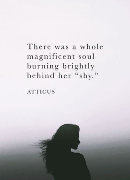 Quote about Magnificen Soul