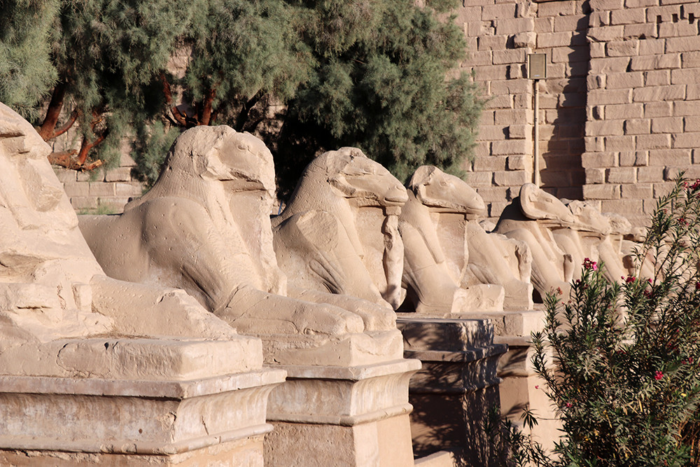 Sphinx Outside the Temple of Karnak