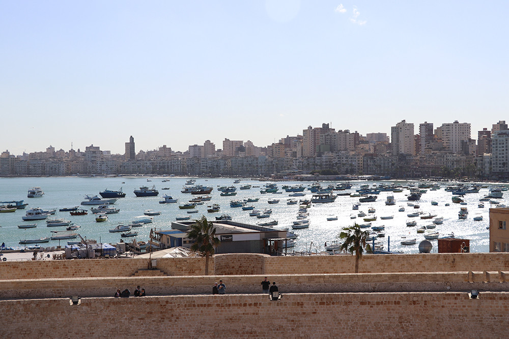 View from Alexandria Fort