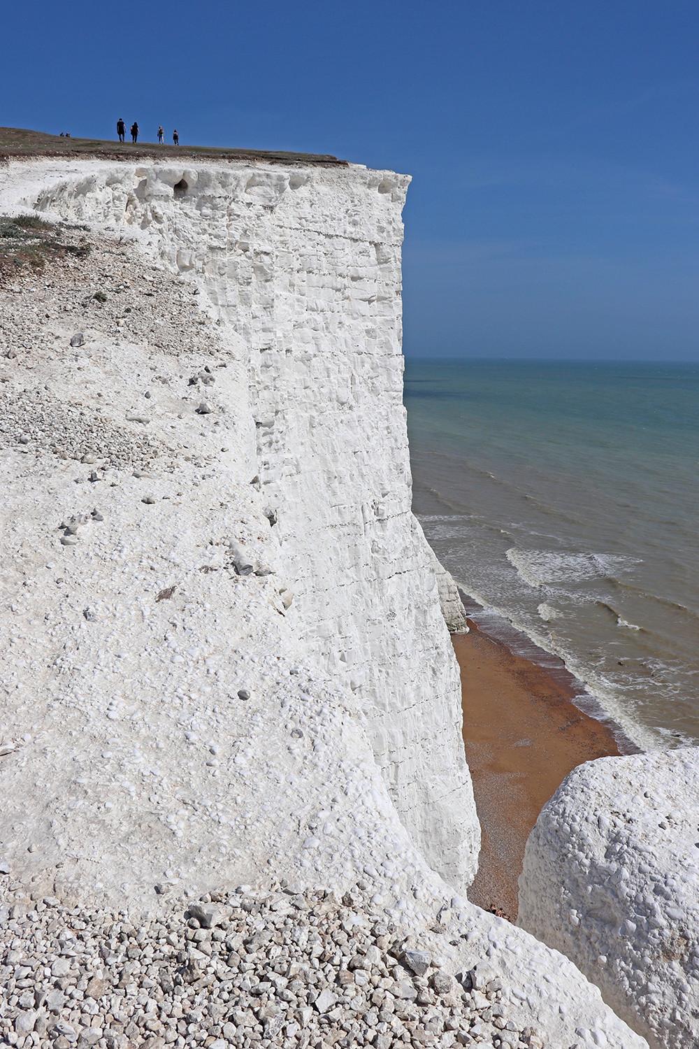 Limestone of the Seven Sisters Cliffs