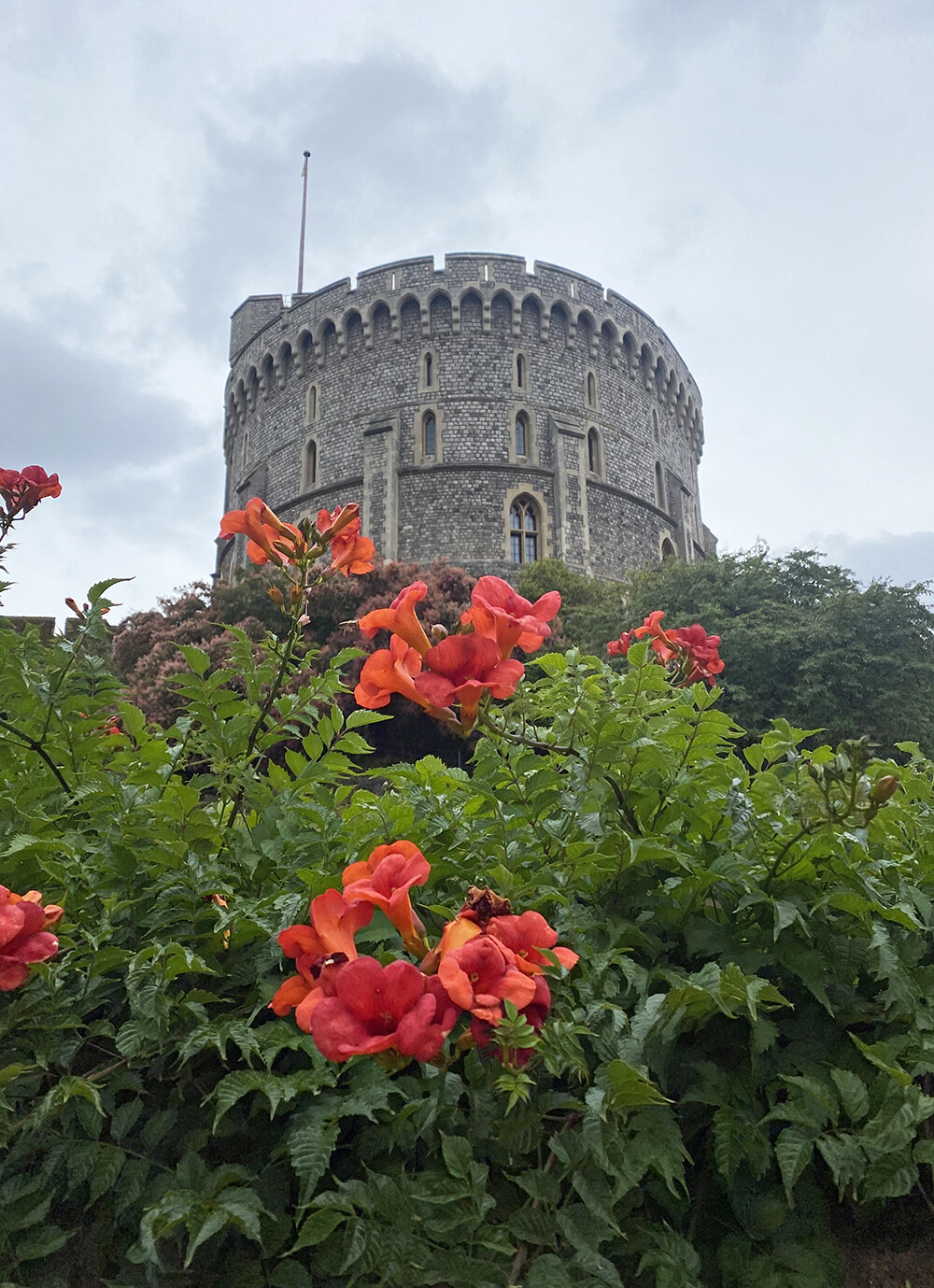London Day Trips - Windsor Castle