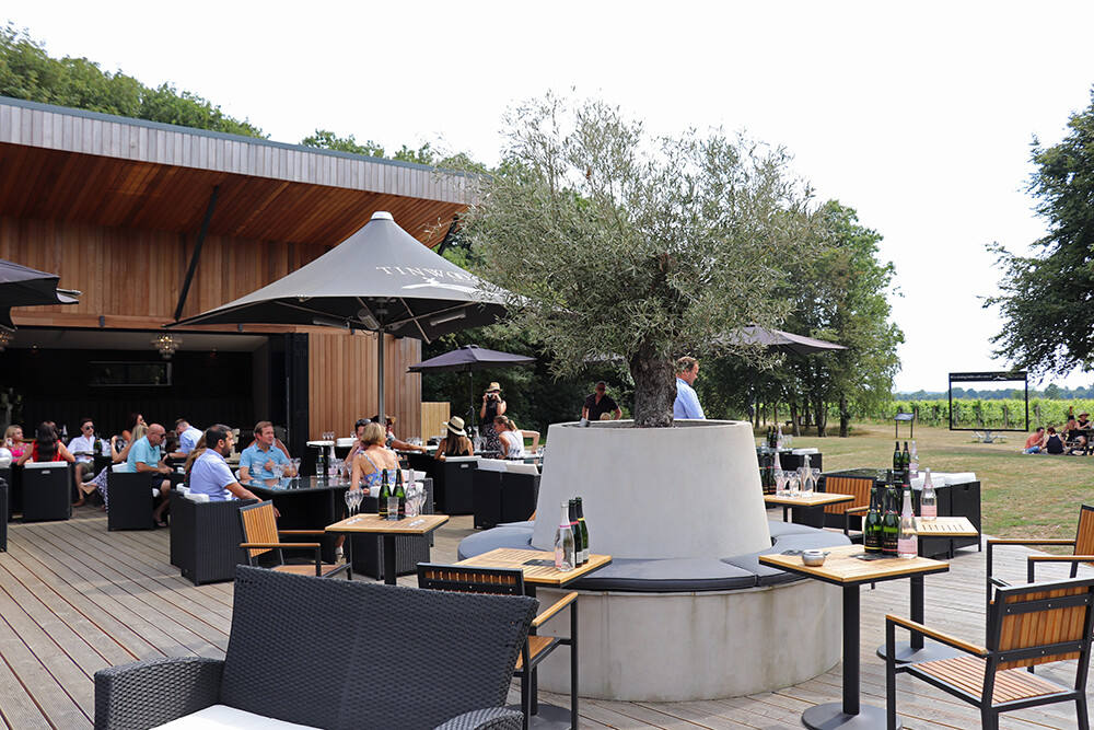 Wine Tasting in West Sussex