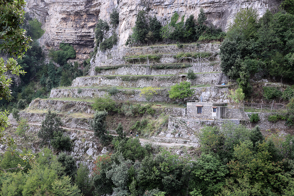 Fog on the Amalfi Coast Trail
