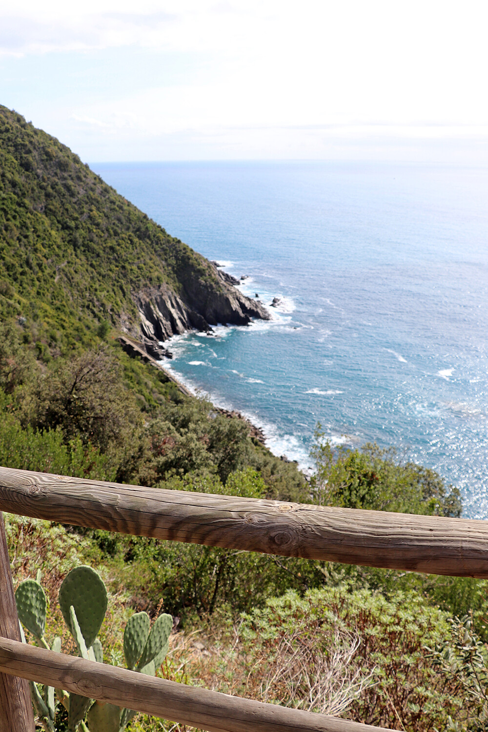 View from the Cinque Terre Hiking Trails