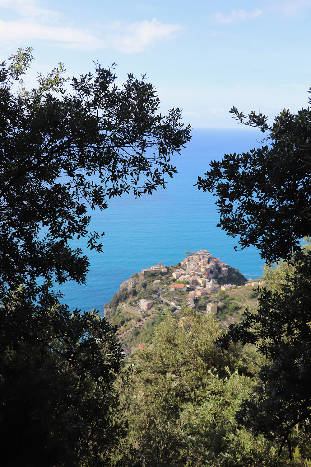 Views While Cinque Terre Hiking