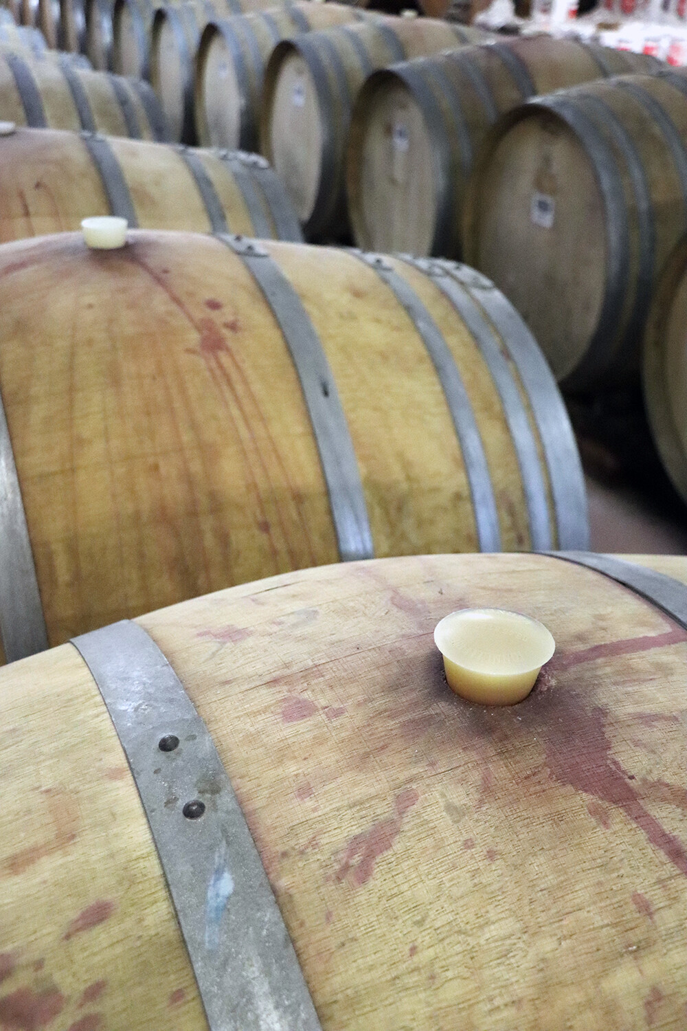 Cellar at Cantina Sociale Colli Fiorentini