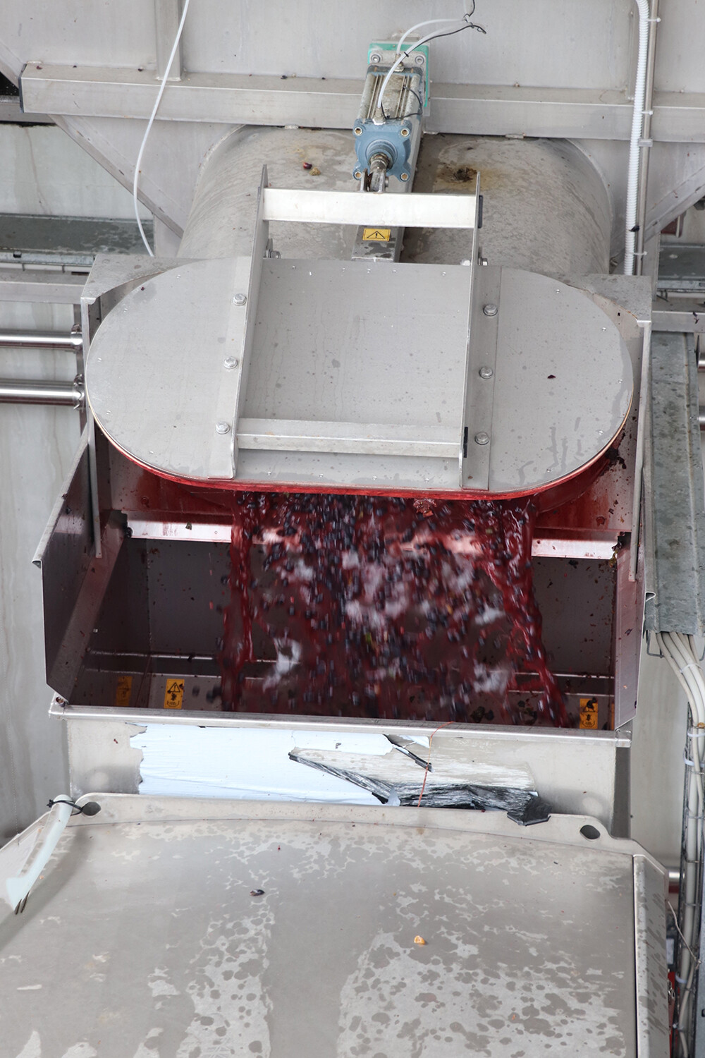 Commercial Winery Equipment at Cantina Sociale Colli Fiorentini