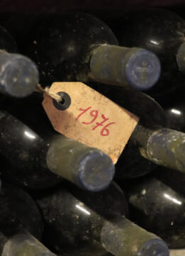 Vintage Bottles in the Cellar of Castello Sonnino