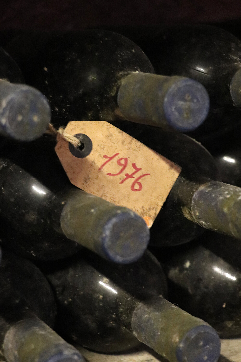 Vintage Bottles in the Cellar of Castello Sonnino