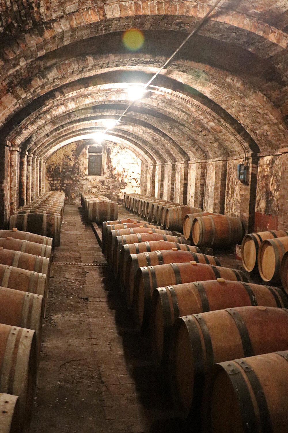 Wine Cellar of Castello Sonnino