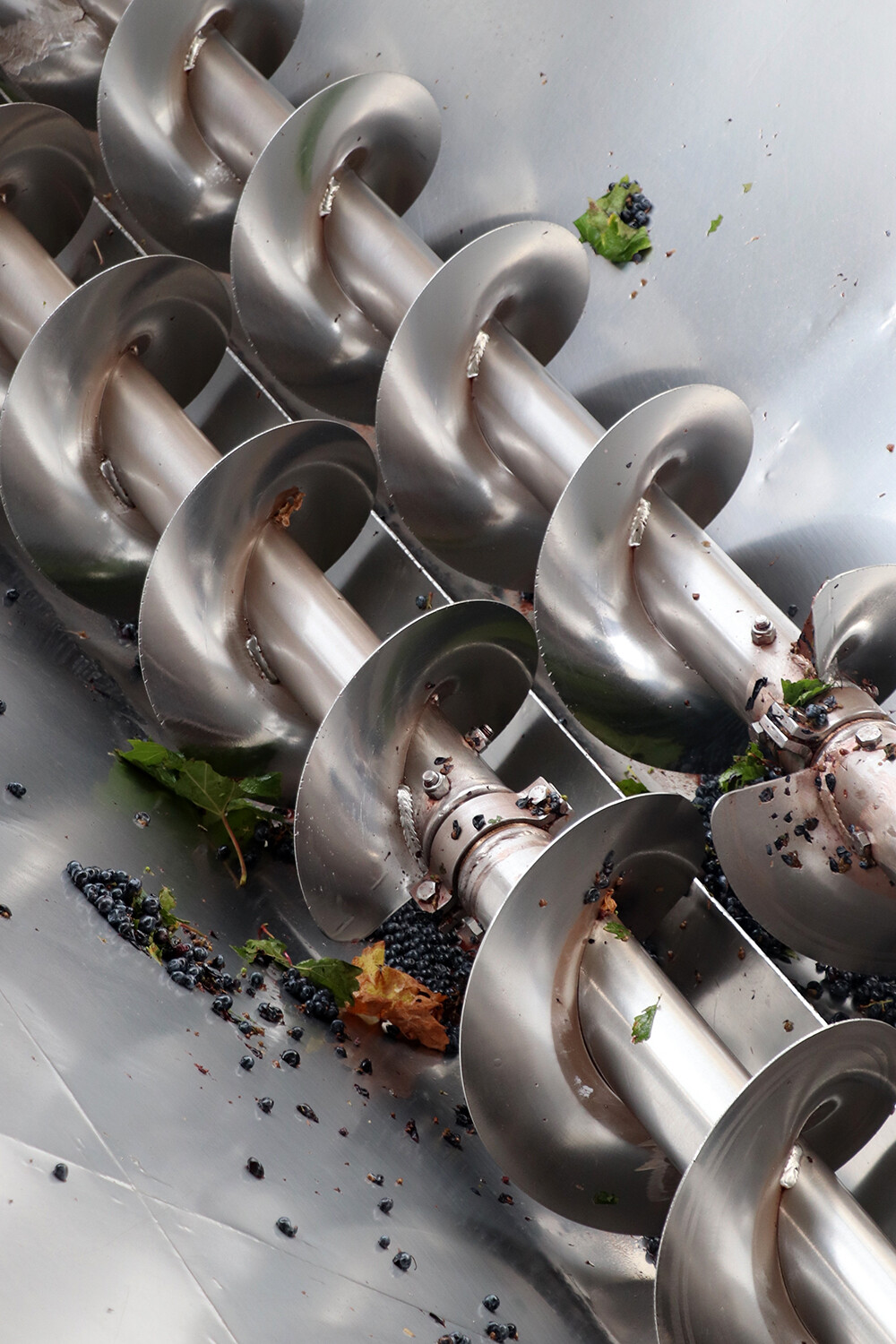 Wine Equipment at Cantina Sociale Colli Fiorentini