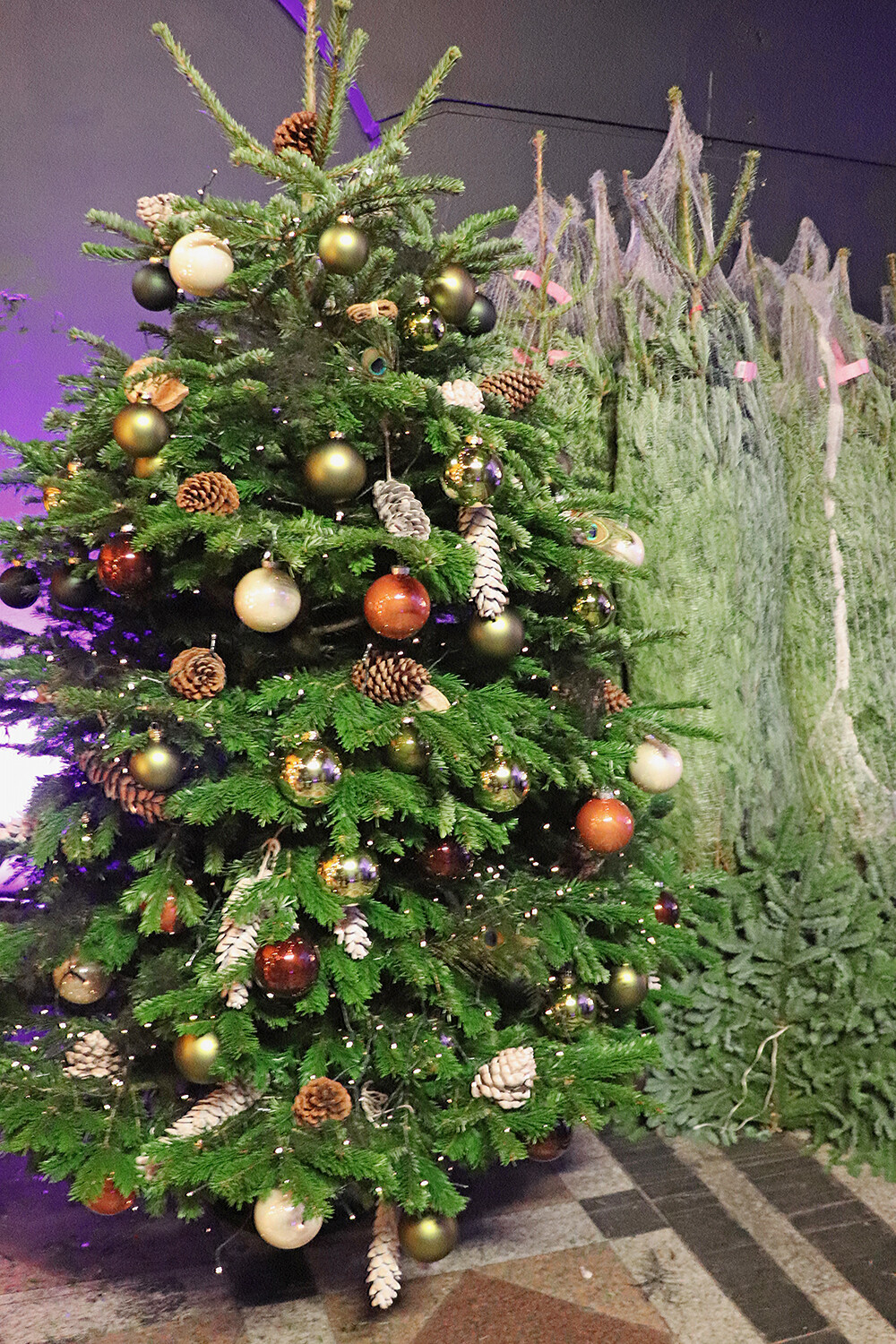 Christmas Trees at the Holiday Market