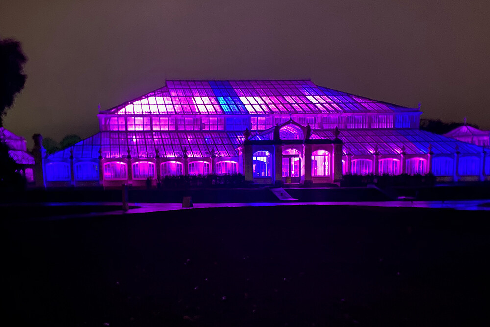 Christmas at Kew 2020 - Light Show at the Temperate House