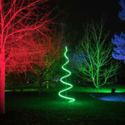 Christmas at Kew 2020 Lights