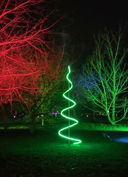 Christmas at Kew 2020 Lights