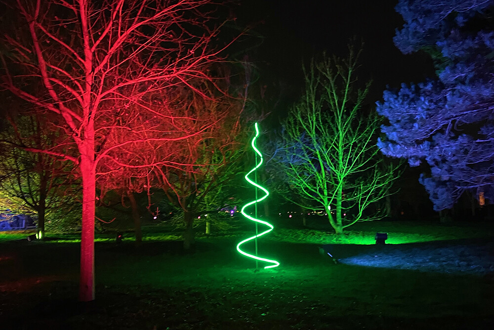 Christmas at Kew 2020 Lights