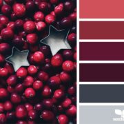 Design Seeds - Holiday Color Palette - Color Season