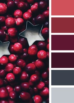 Design Seeds - Holiday Color Palette - Color Season
