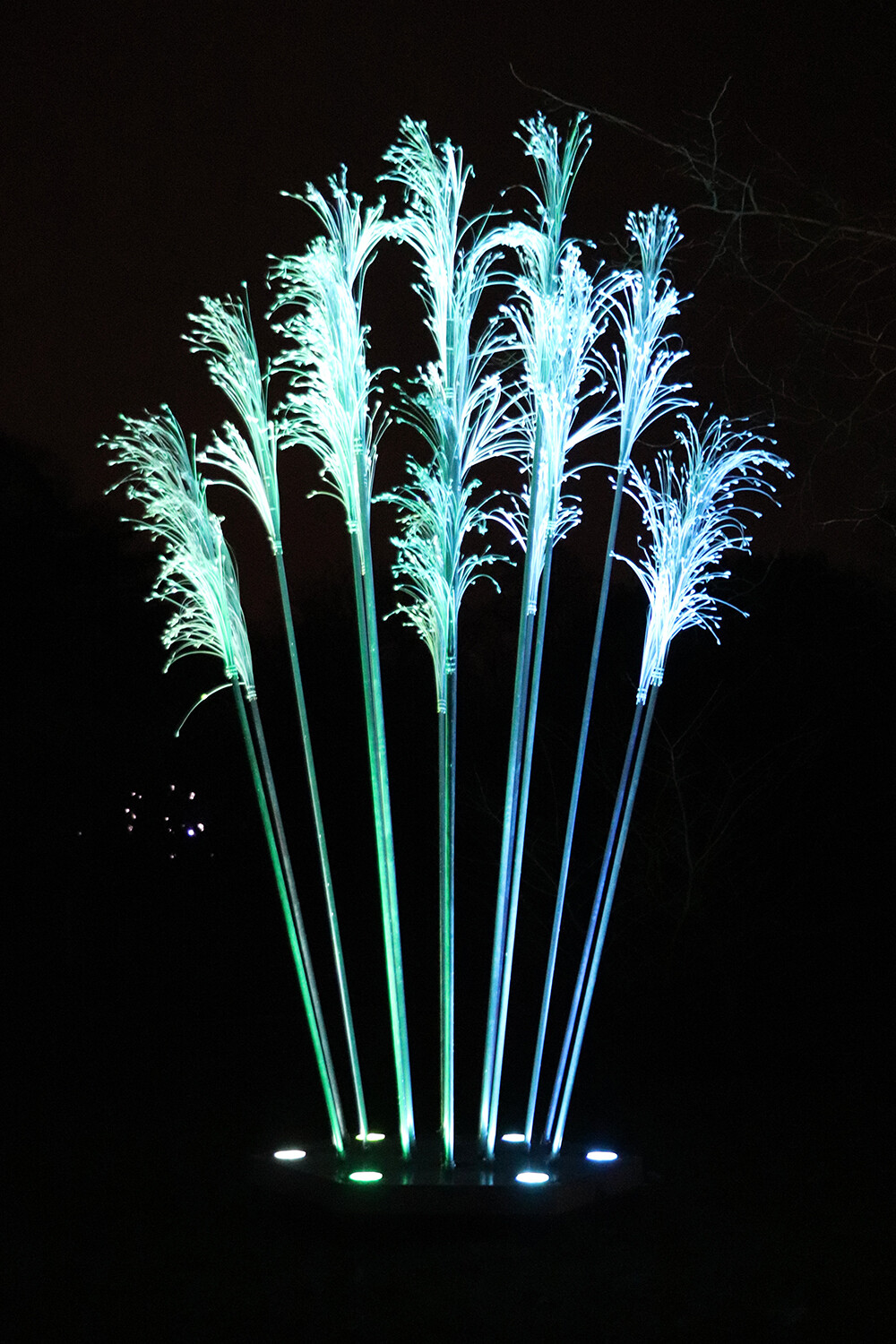 Feathers on the Illuminated Light Display