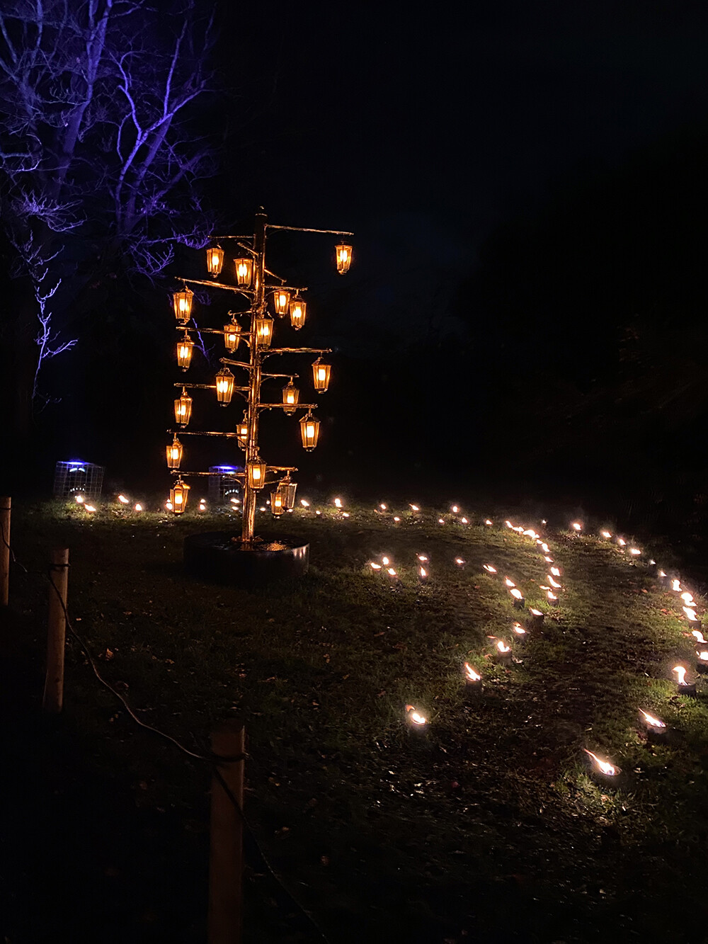 Holiday Lights The Scented Fire Garden