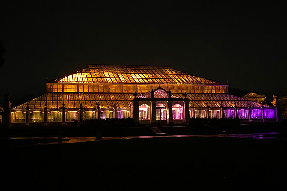 Light Show at the Temperate House