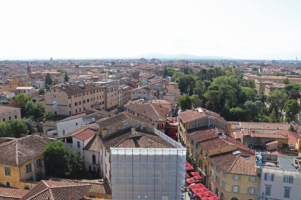 Pisa from the Tower