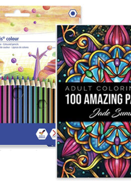  100 Amazing Patterns Adult Coloring Book and Staedtler Colour Pencils
