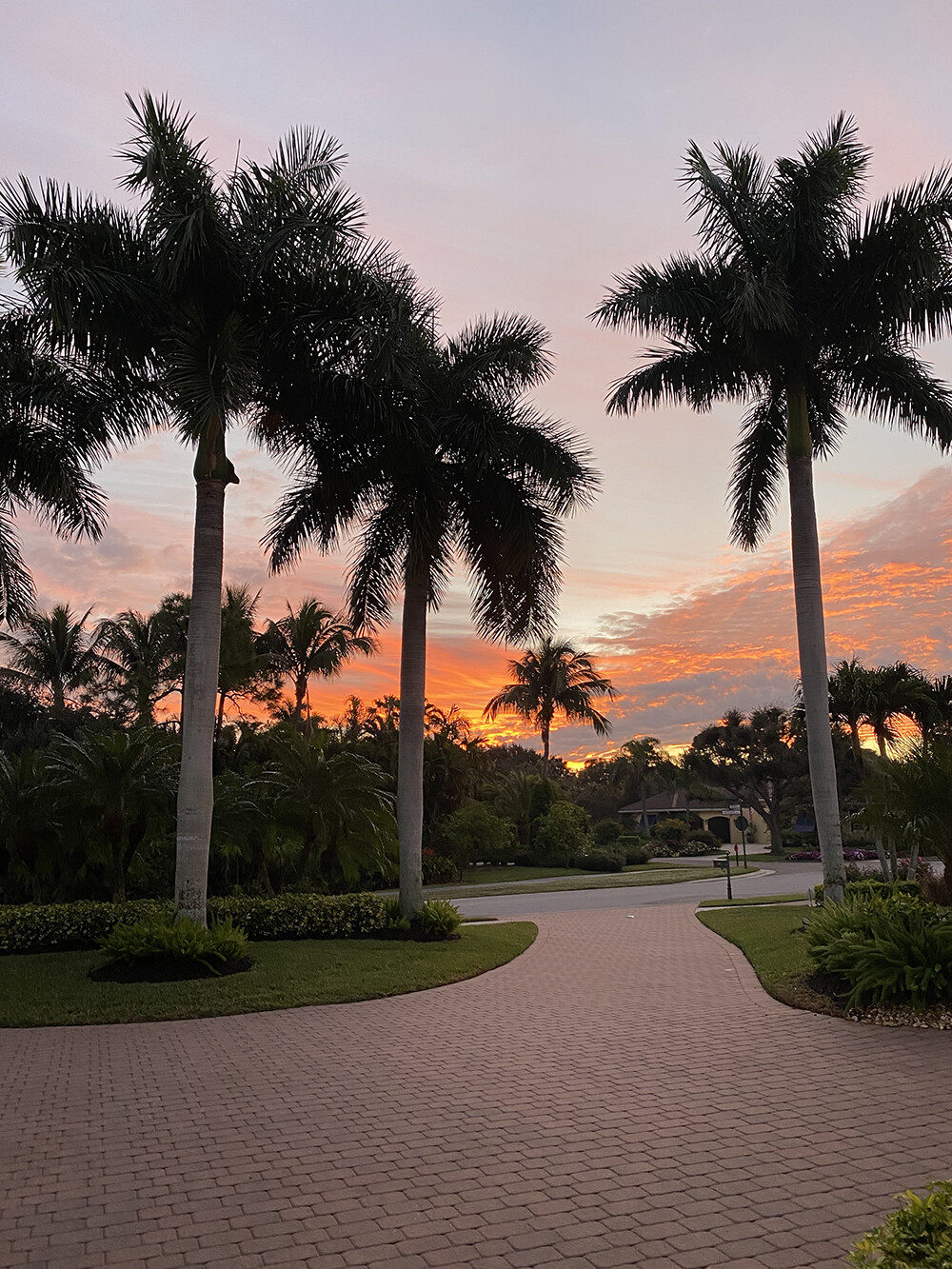 Pink Sunset Florida New Years