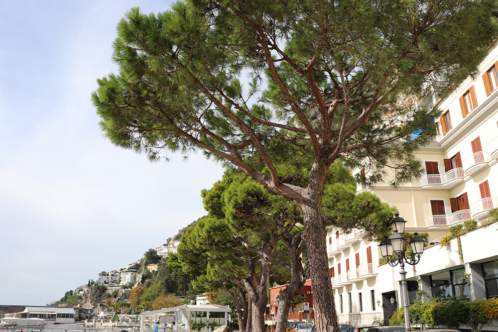 Port of Amalfi